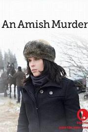 An Amish Murder 2013