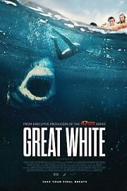 大浪白鲨 2021