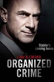法律与秩序：组织犯罪