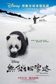 熊猫回家路 2009