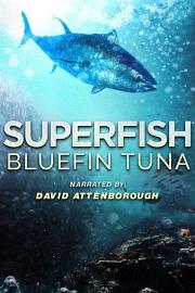 超级鱼类：蓝鳍金枪鱼 2012