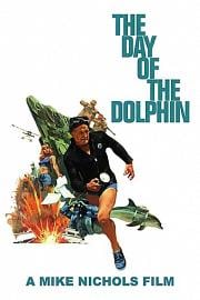 海豚之日 1973