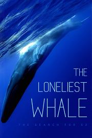最孤独的鲸：寻找52 2021