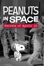 花生在太空：阿波罗十号的秘密 迅雷下载
