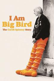 我是大鸟：卡洛尔·斯宾尼的故事