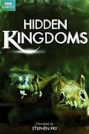 隐秘王国 Hidden Kingdoms