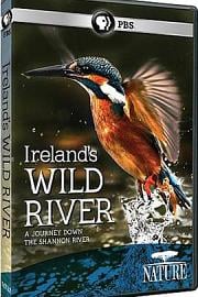 爱尔兰荒野河流2014