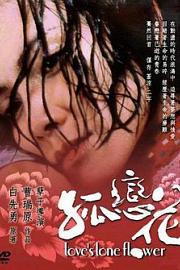 孤恋花2005