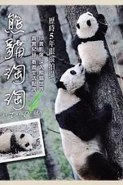 熊猫淘淘2014