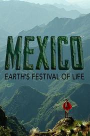 墨西哥：地球生命的狂欢 迅雷下载