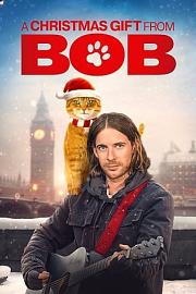 鲍勃的圣诞礼物 2020