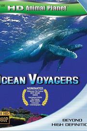 动物星球系列：鲸奇之旅2007