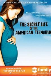 青春密语 The Secret Life of the American Teenager