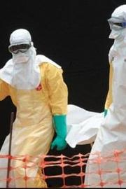 寻找治愈埃博拉病毒的方法2014