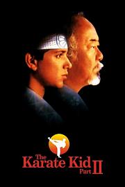 龙威小子2 (1986) 下载