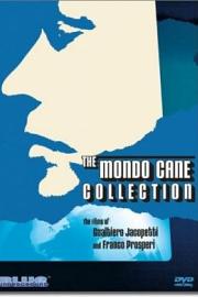 世界残酷奇谭4 Mondo cane4