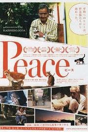 完全和平手冊2010