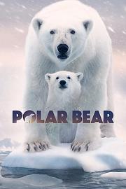 北极熊 2022