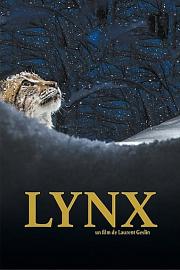 Lynx 2021