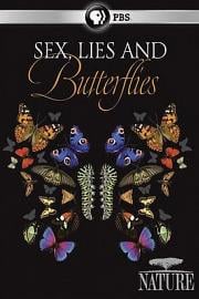 Sex, Lies and Butterflies 2018