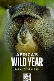 Africa&#39;s Africa's wild year