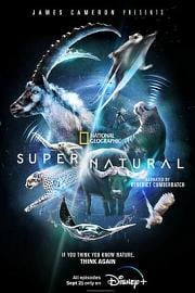 超/自然 Super/Natural