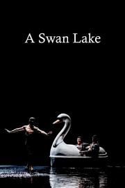 A.Swan.Lake.by.Alexander.Ekman.2014