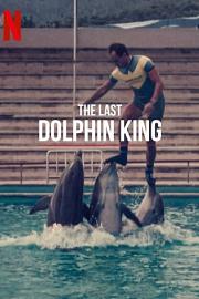 ¿Qué le pasó al rey de los delfines? 迅雷下载