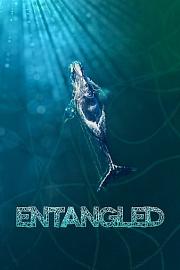 Entangled.The.Race.to.Save.Right.Whales.from.Extinction.2020