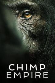 黑猩猩帝国 Chimp Empire