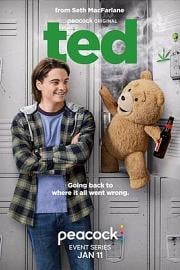 泰迪熊 Ted