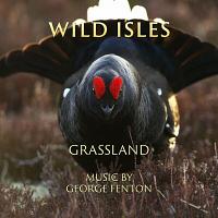 Wild Isles: Grassland Soundtrack (by George Fenton)