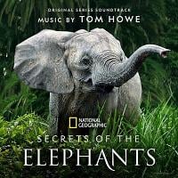 Secrets of the Elephants Soundtrack (by Tom Howe)