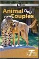 奇特的动物伙伴 Animal Odd Couples