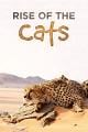 猫科动物：奇妙的动物家族 Cats: An Amazing Animal Family
